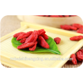 Ar não-orgânico vermelho secado fruta de baga de Goji